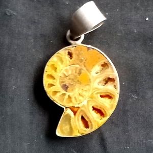 Ammonite Sterling Silver Pendant